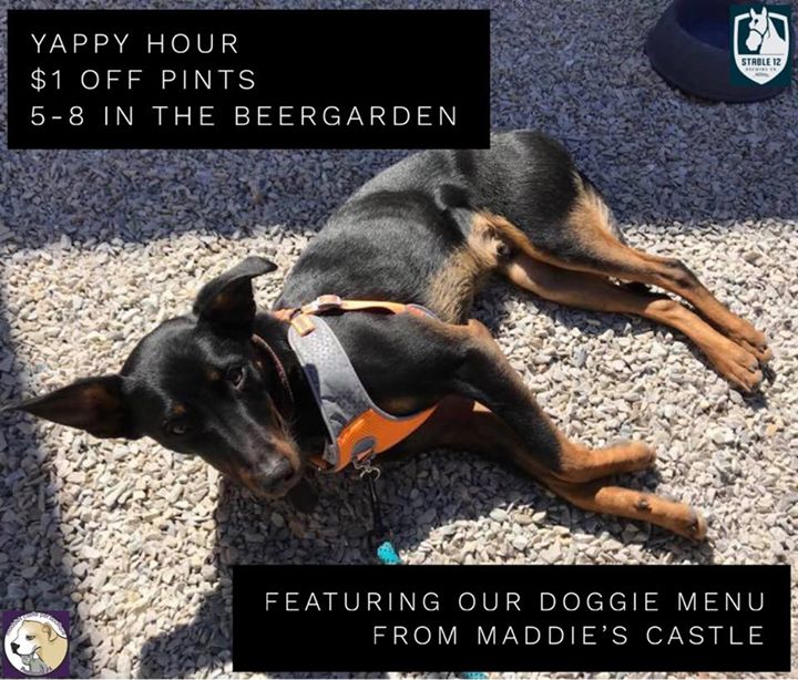 It’s your dog’s favorite day of week! Join us in the beergarden tonight for…